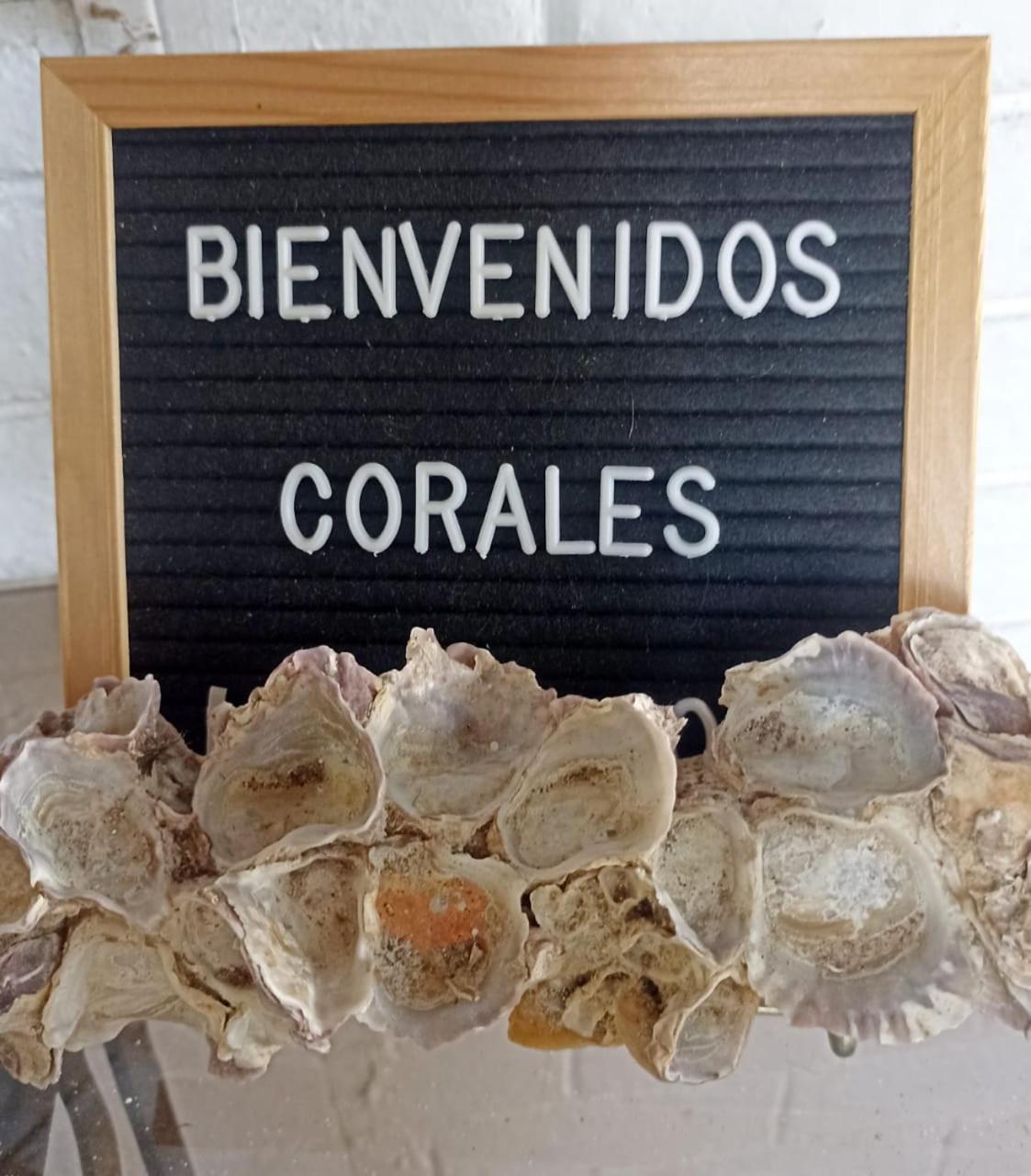 Hostal Corales Tolu Exterior photo
